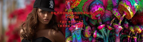 МДПВ Лагань