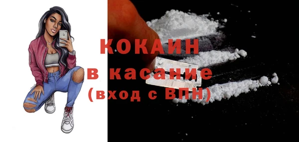 ГАЛЛЮЦИНОГЕННЫЕ ГРИБЫ Липки