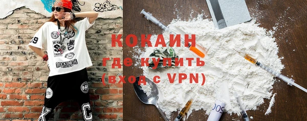 дмт Ладушкин