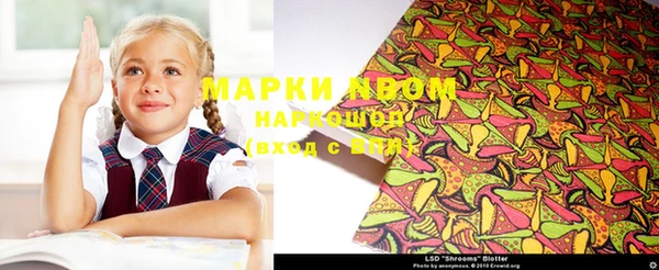 дмт Ладушкин
