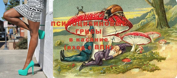 ГАЛЛЮЦИНОГЕННЫЕ ГРИБЫ Липки
