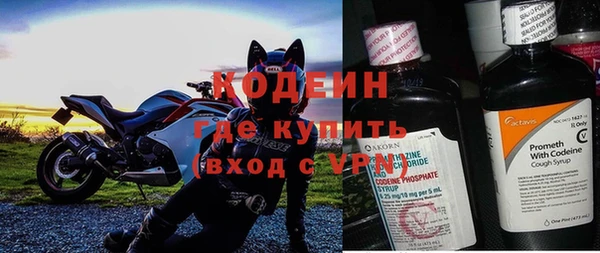 дмт Ладушкин