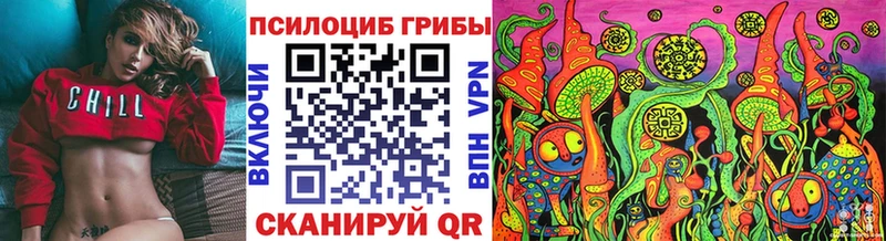 что такое Нижние Серги Псилоцибиновые грибы Psilocybe